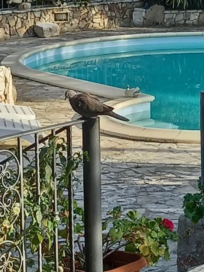 Apartment Villa Adriana - Torre Delle Stelle - Mini Appartamenti - Cagliari Villasimus Sardegna